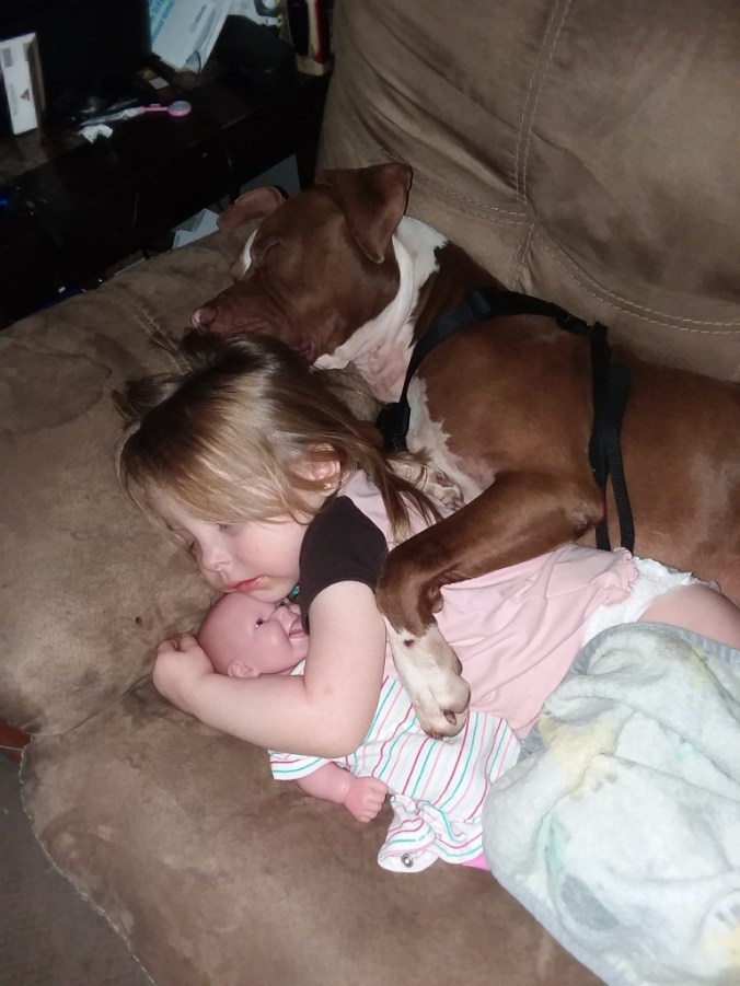 20181024_150402 (768x1024)