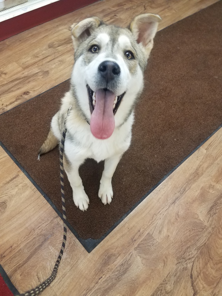 20190115_163615 (768x1024) (768x1024)