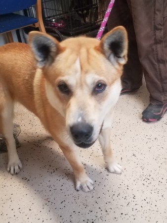 20190122_140544 (768x1024)