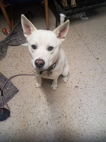 20190122_134600 (768x1024)