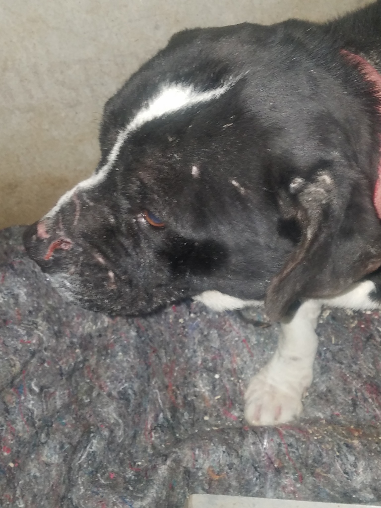 20190227_182754 (768x1024)