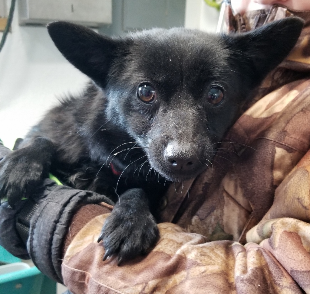 20190302_112218 (1024x973).jpg