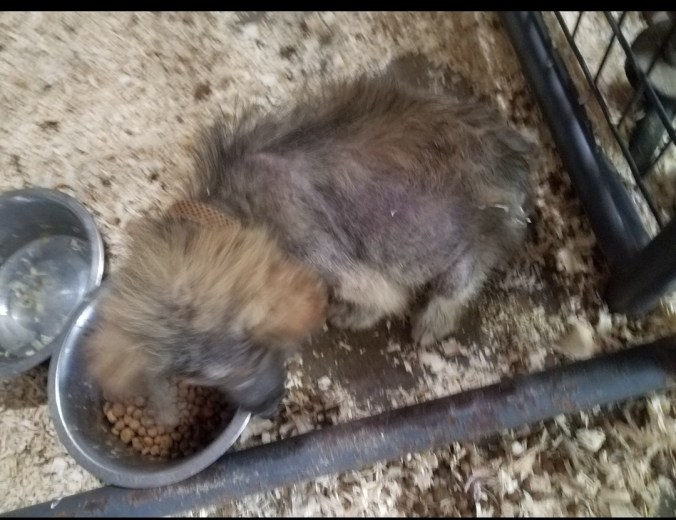 Screenshot_20191212-113828_Photos