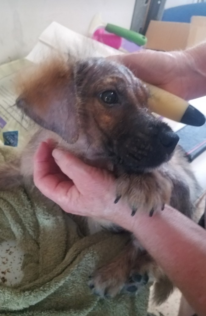 Screenshot_20191212-113854_Photos