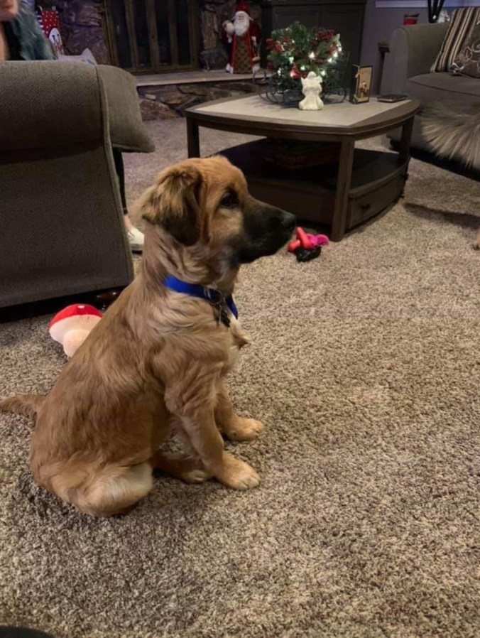 Screenshot_20191213-144734_Facebook